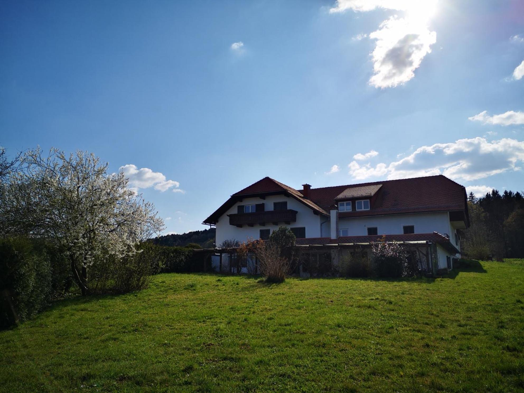 Aparthotel "Goldener Hahn Apartments" Bad Waltersdorf Kültér fotó